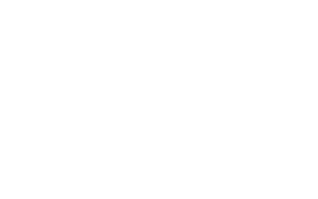 logo bvw design